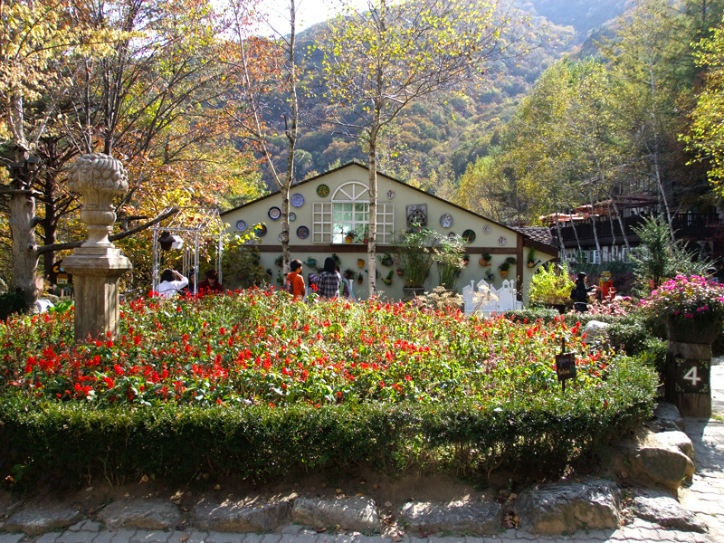 화단 이미지