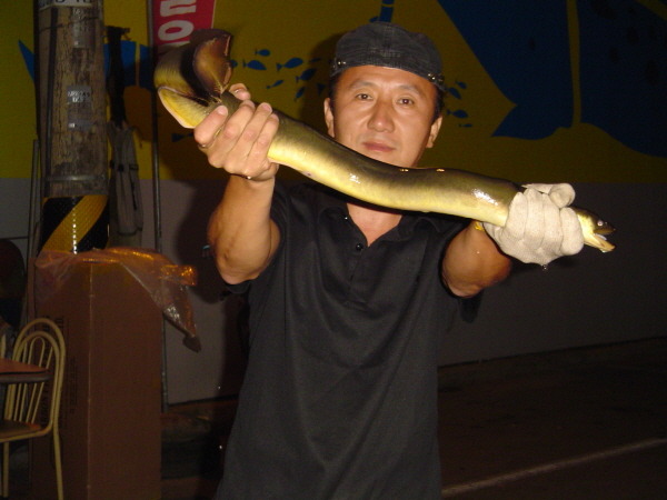 한수인삼 이미지