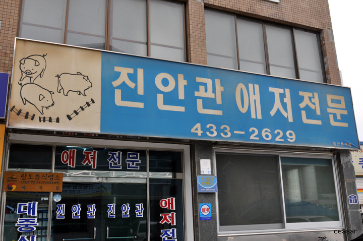 진안관 이미지