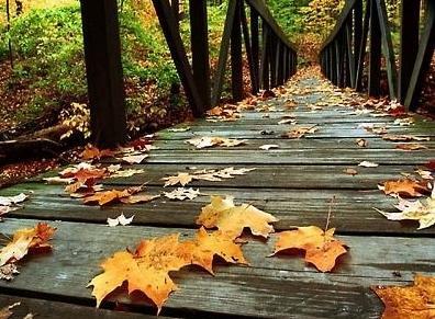 산들바람 이미지