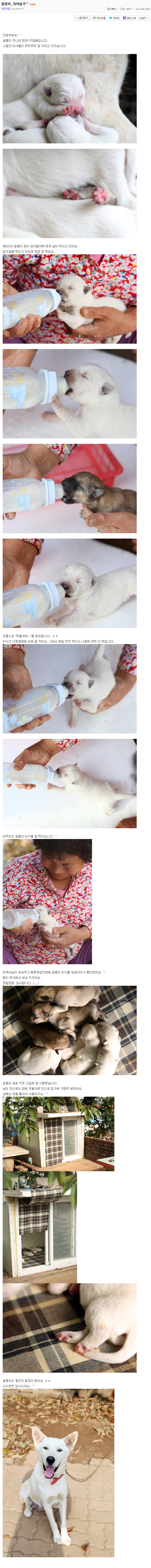 사랑스러운 시골강아지 꽃봉이의 하루.jpg | 인스티즈