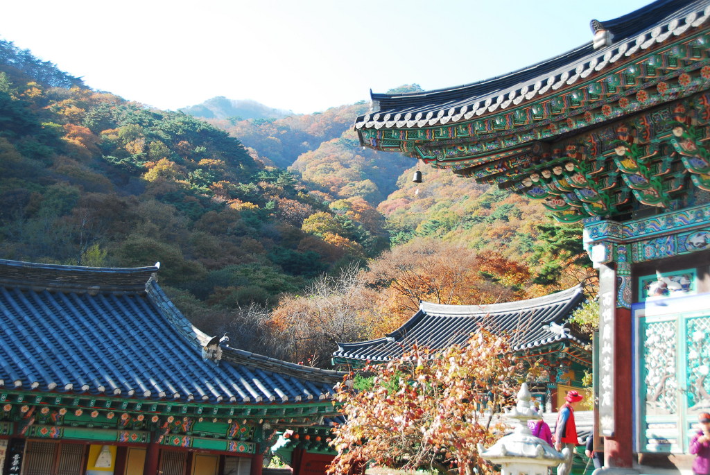 용문사 이미지
