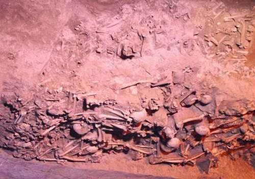 전국시대 최고의 학살자 백기 | 인스티즈