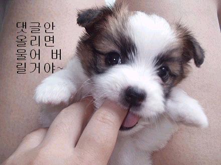 누리달 이미지