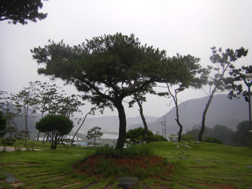 중앙농원 이미지