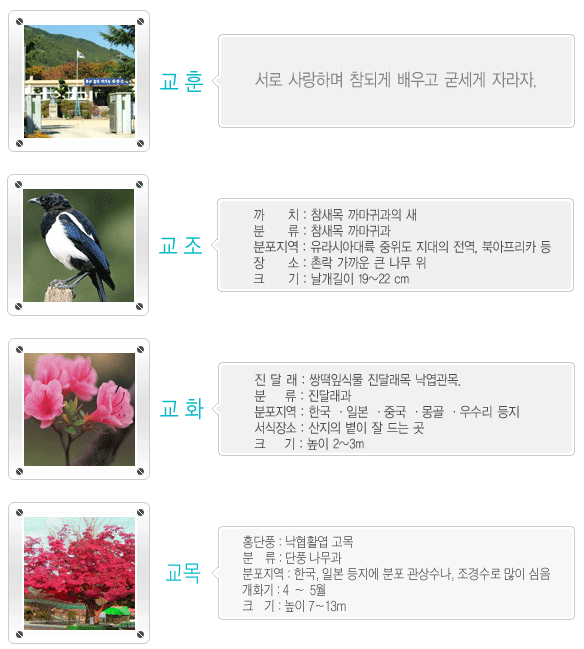 산동초등학교 이미지