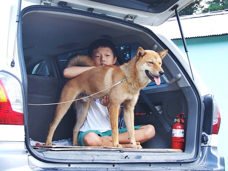 차돌이 이미지