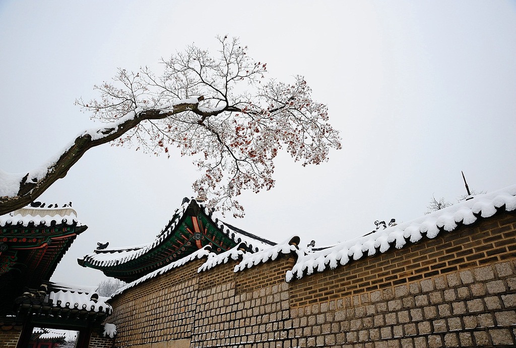 비원 이미지