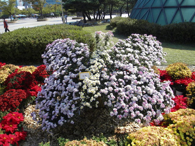 중안 이미지