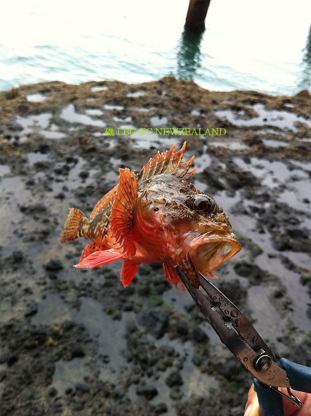 17484B344D4E899903B919