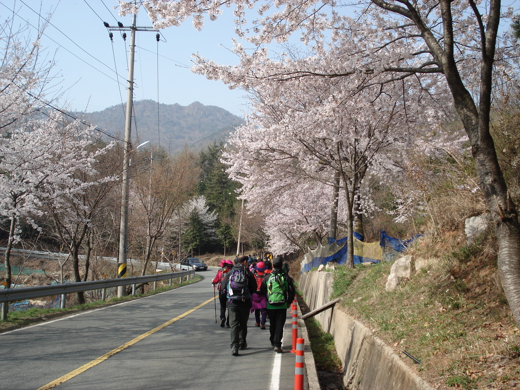 자은초등학교 이미지