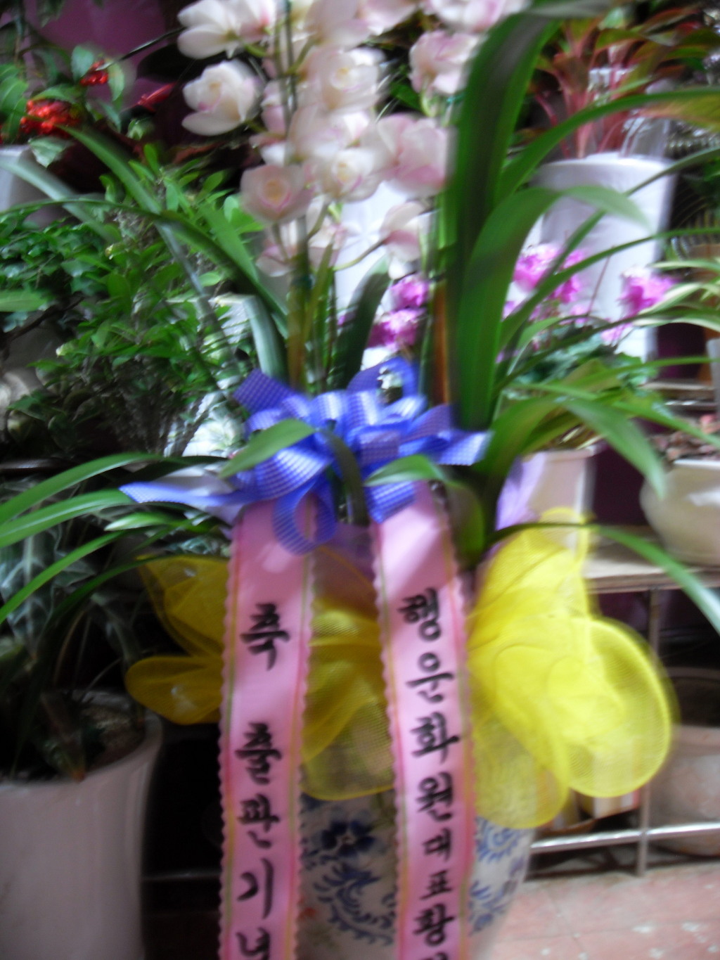 행운화원 이미지