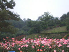 금찬 이미지