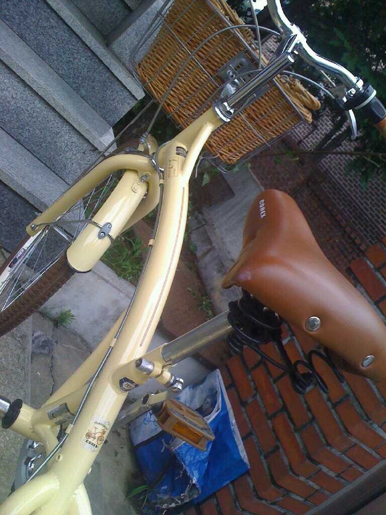 코렉스자전거 이미지