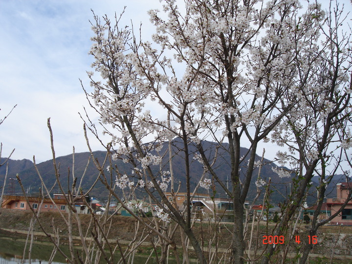 덕산방 이미지