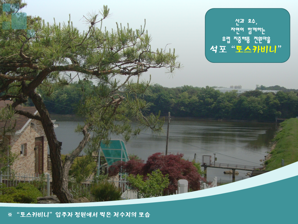 카페석포리 이미지