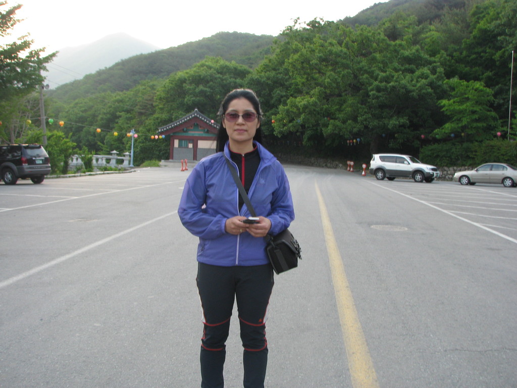새만금문화봉사단 이미지