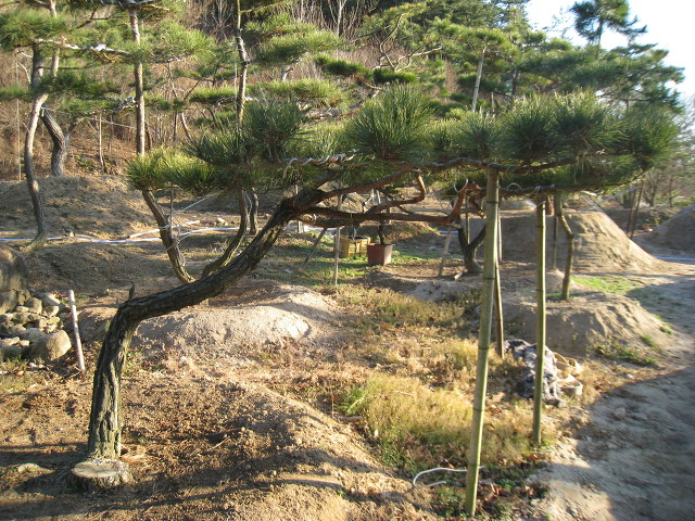 지리산농장 이미지