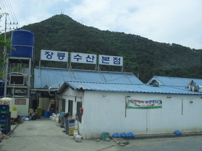 장룡 이미지