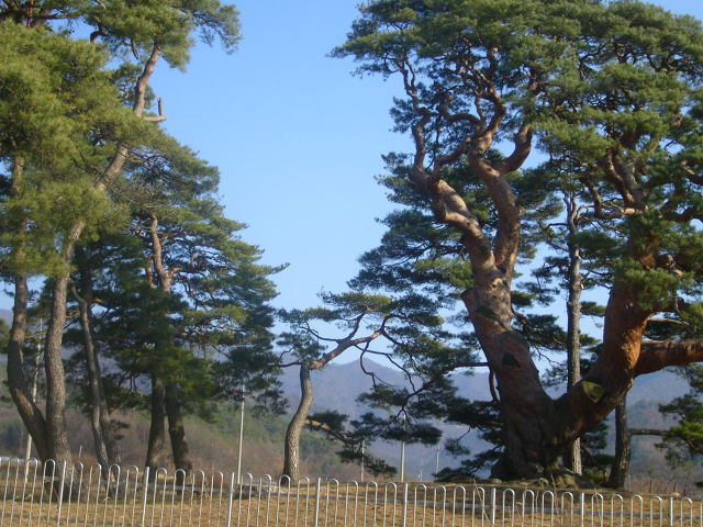 삼송마을 이미지