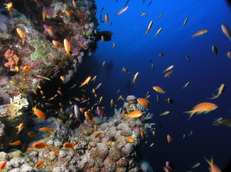 블루홀(BLUE HOLE) 이미지