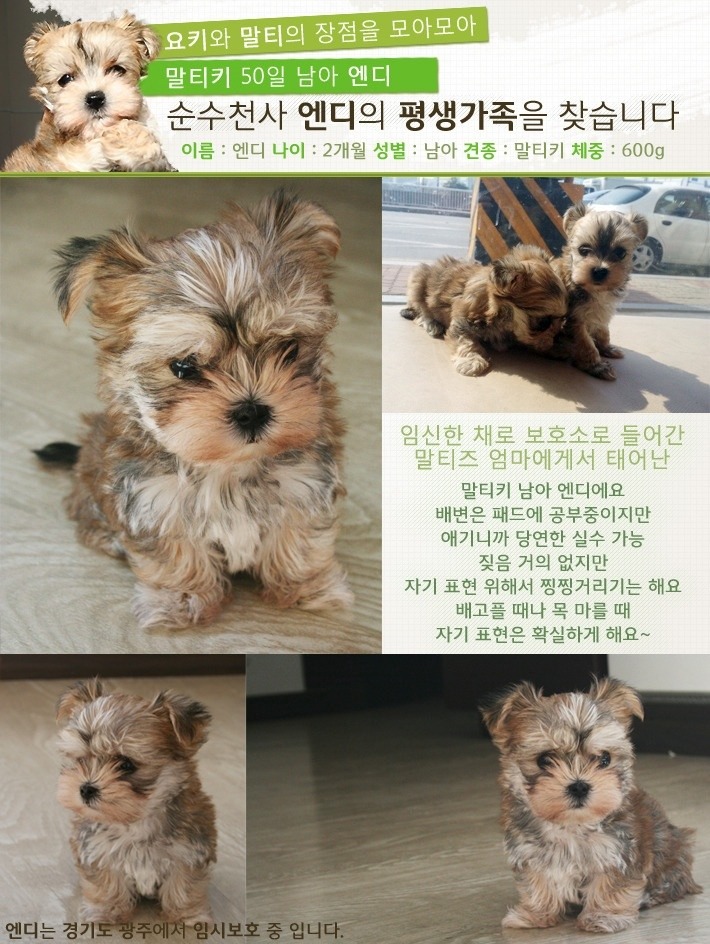 엔디 이미지