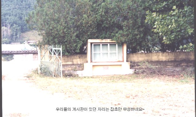시량초등학교 이미지