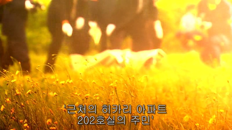 [영화] 혐오스런 마츠코의 일생 -01- | 인스티즈