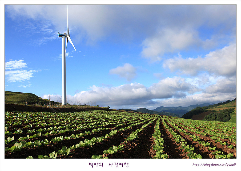 태백고냉지 이미지
