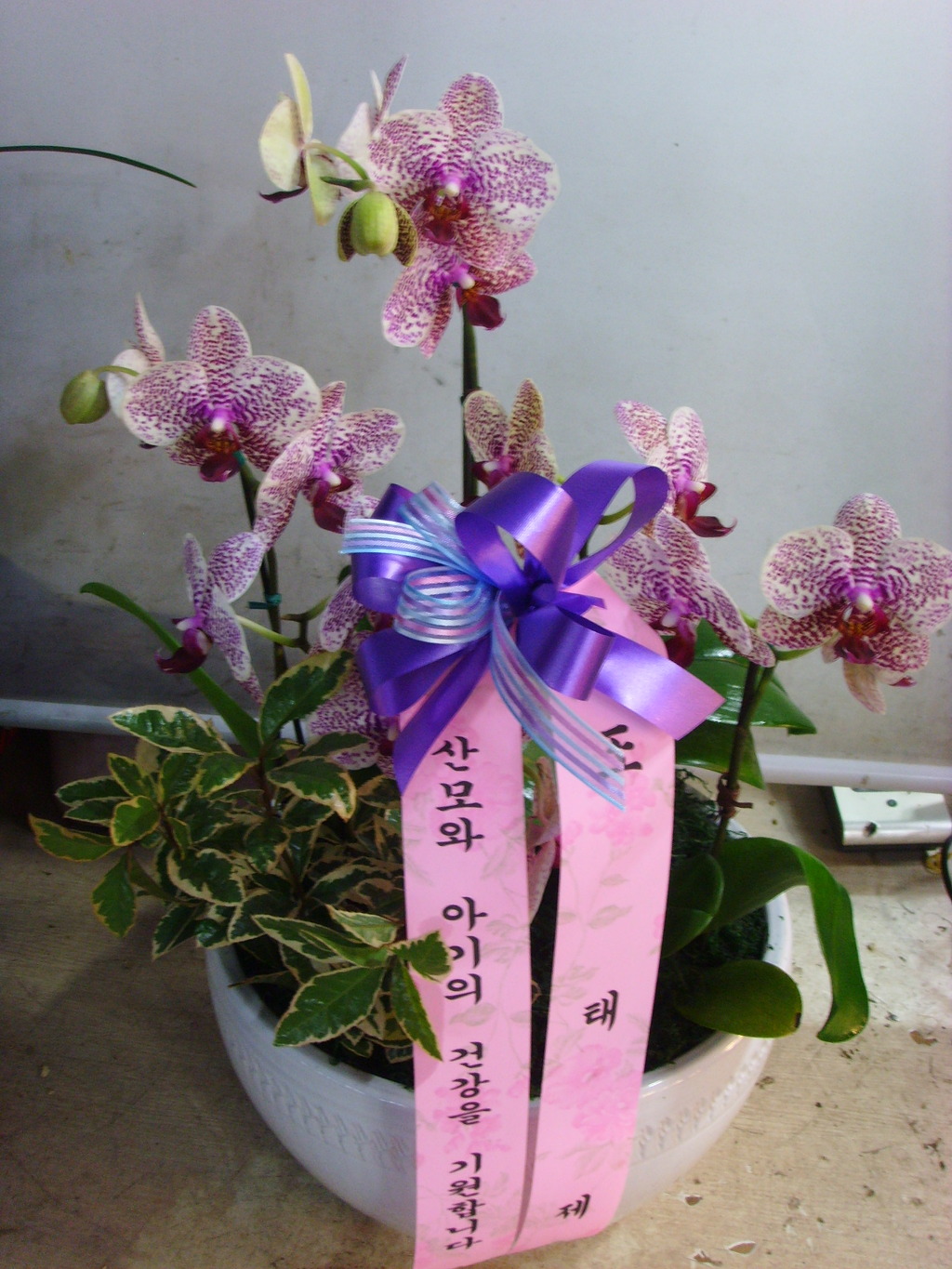 태광건업 이미지