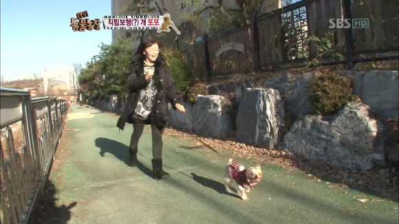 [동물농장] 지팡이 짚고 걷는 심봉사 개 또또라오 | 인스티즈