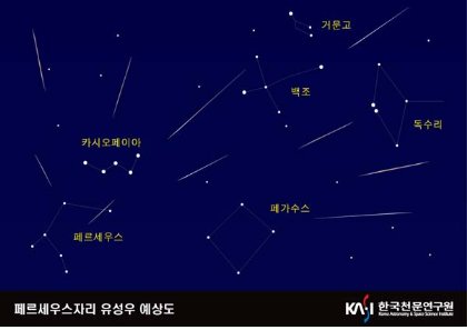 머리하늘날 이미지