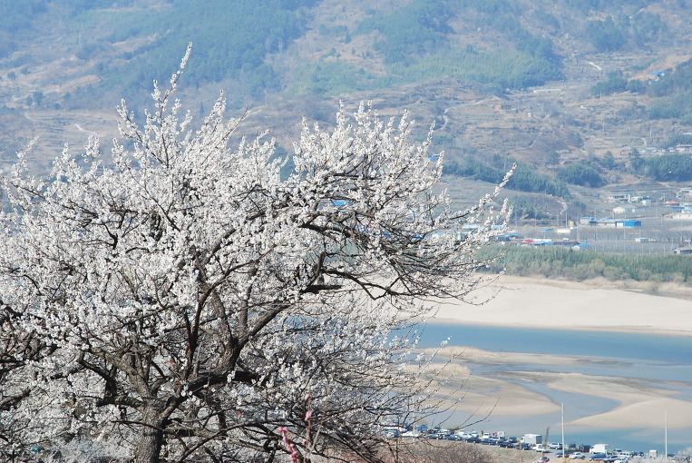 옛시간여행 이미지