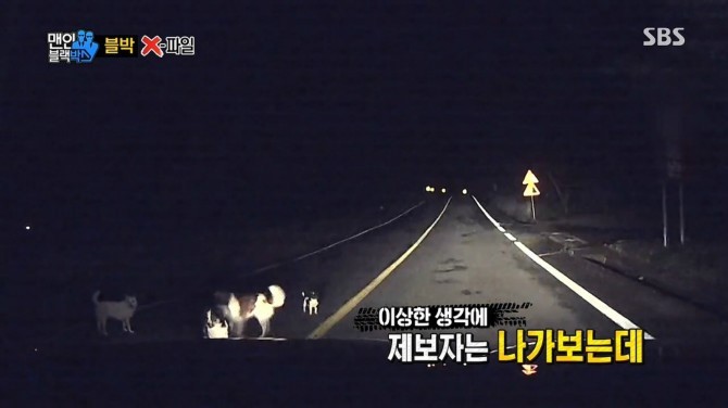 개를 구한 남자..jpg | 인스티즈