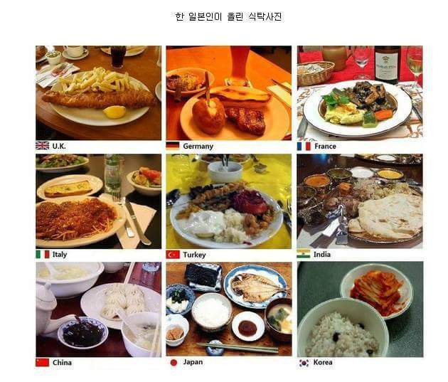 어느 일본인이 올린 세계 음식사진과 그걸 보고 열받은 한국인이 올린 사진 | 인스티즈