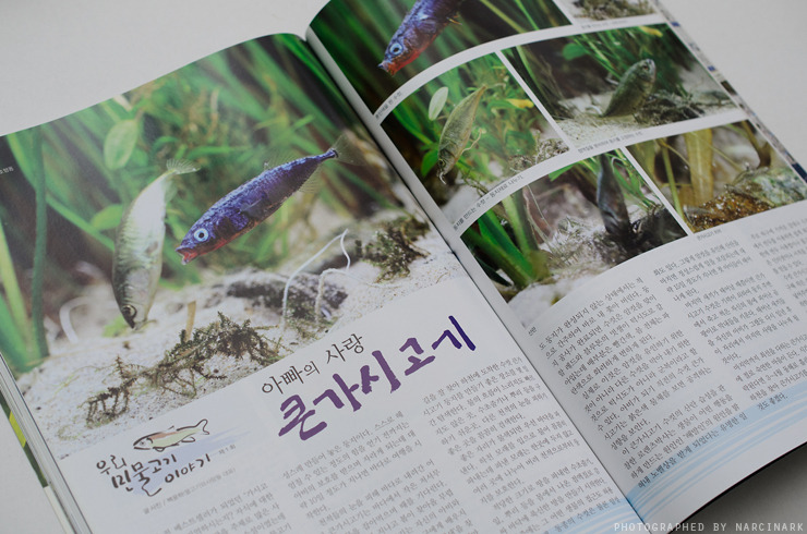 고기이야기 이미지