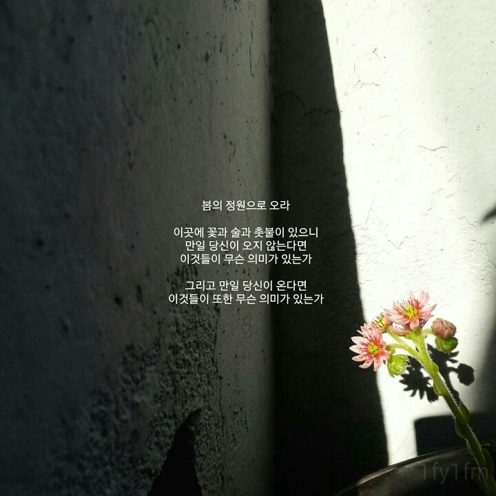 마음이 몽글몽글 해지는 시 모음 | 인스티즈