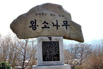 해미농협주유소 이미지