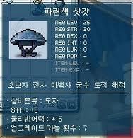옛날 메이플 인기 아이템.jpg | 인스티즈