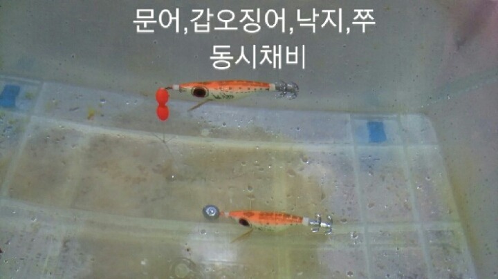 왕눈이 이미지