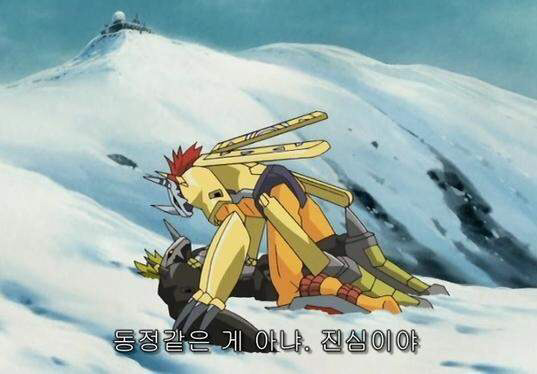 포켓몬스터 vs 디지몬 어드벤처 | 인스티즈