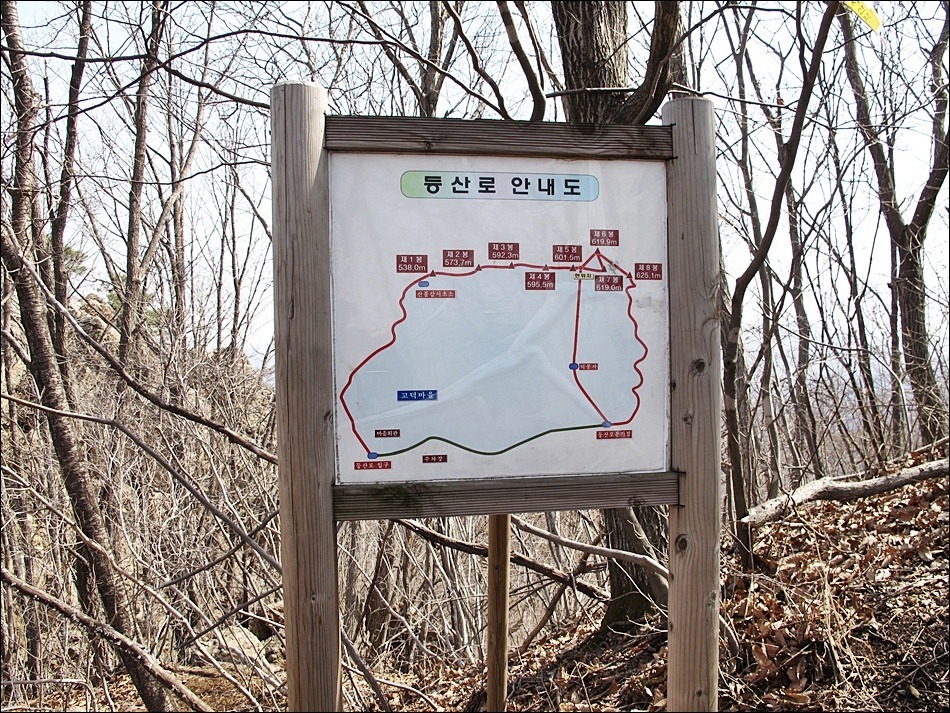 호박꽃집 이미지