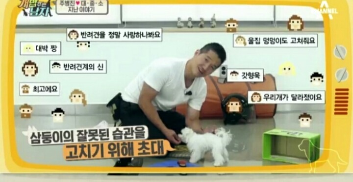 [개밥주는남자] 웰시코기 삼둥이 대중소 식탐고치기 (feat.갓형욱) | 인스티즈