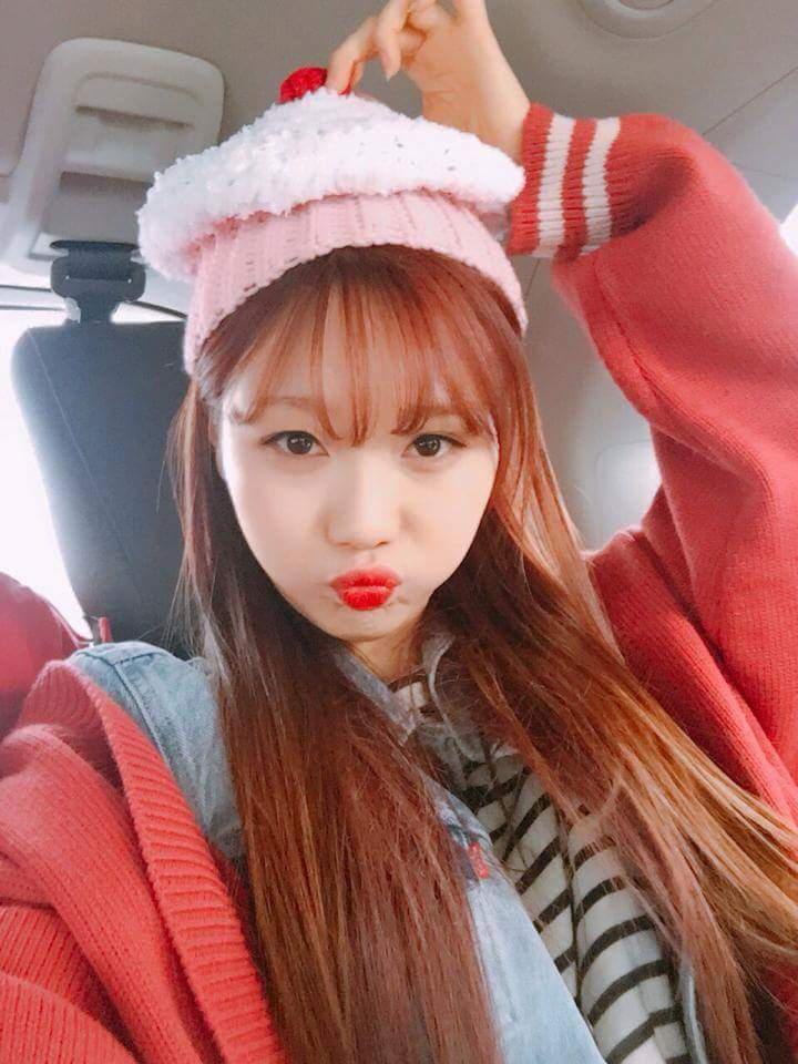 [러블리즈] 고양이가 다시 건깅해져서 유지애 | 인스티즈