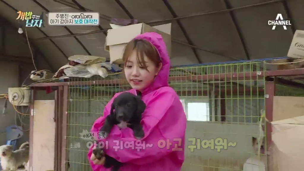 개밥 주는 소녀 I.O.I 김소혜 | 인스티즈