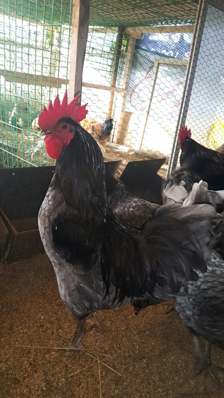 계 이미지