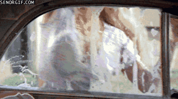 열심히 세차하는 처자.gif | 인스티즈