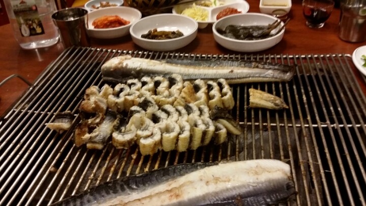 풍천장어 이미지