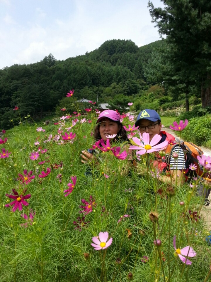 (주)청마루 이미지