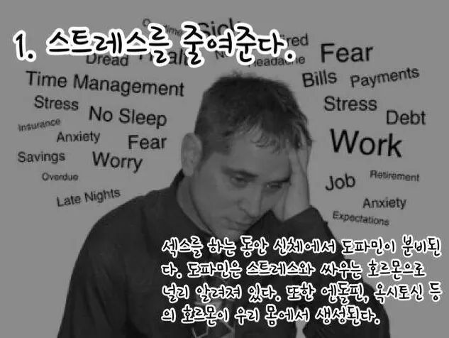 섹스를 매일해야하는 16가지 이유 | 인스티즈